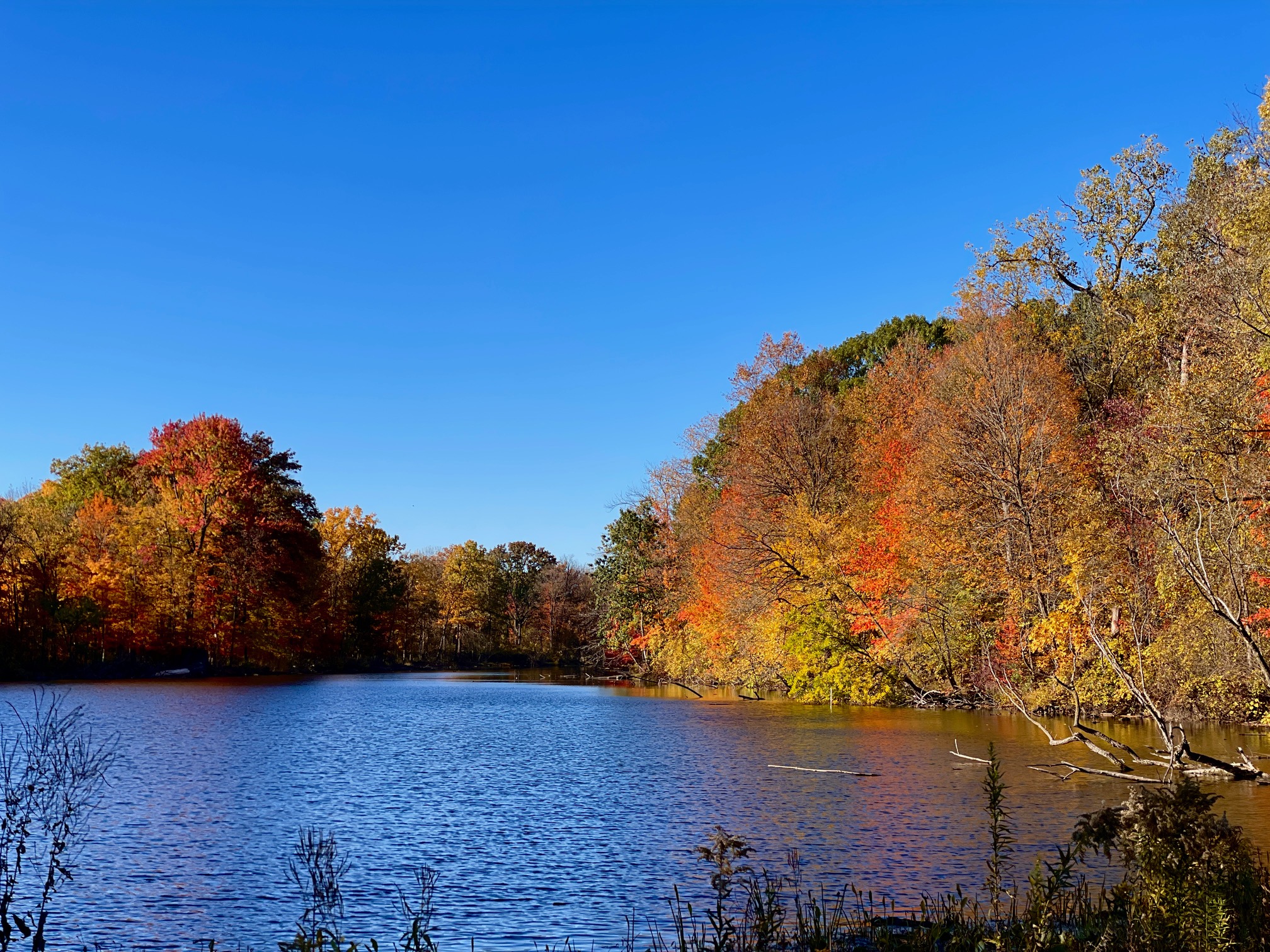 fall time estate