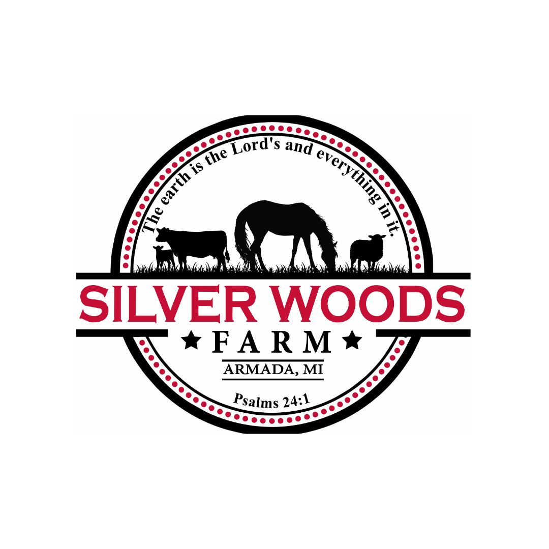 Silver Woods MDP 2
