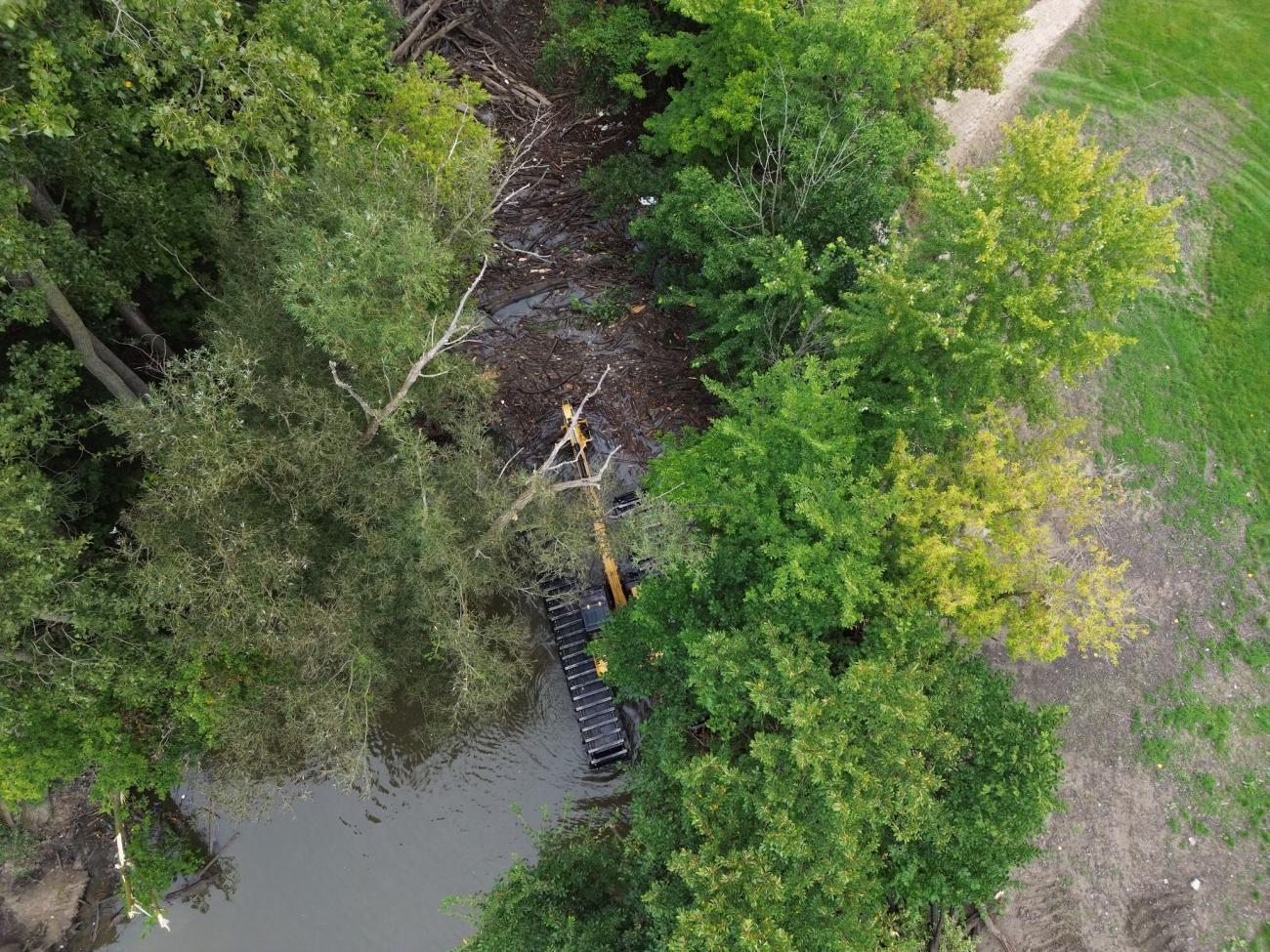 Rouge River Logjam Mitigation