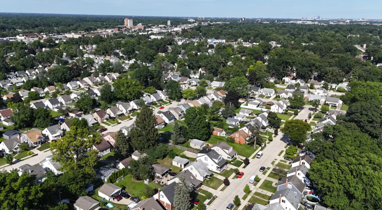 trees overview