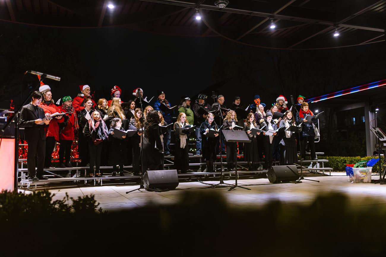 Wanderlights band