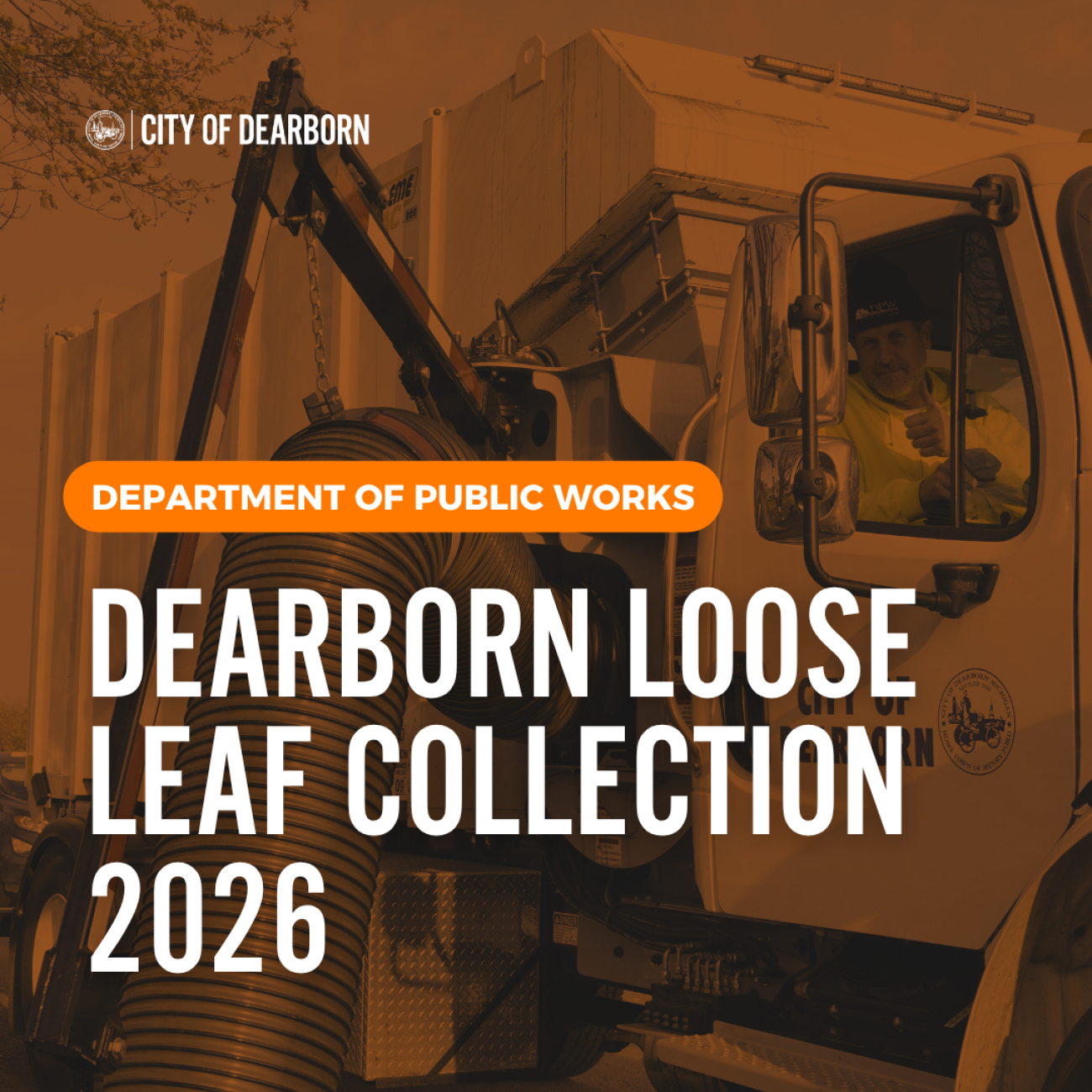 Loose Leaf Collection 2026 WEB