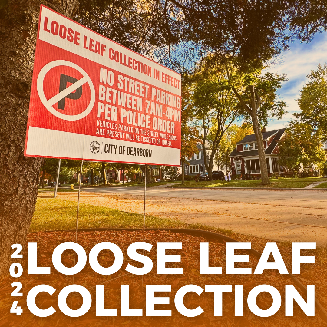 Loose Leaf Collection 2024-Web