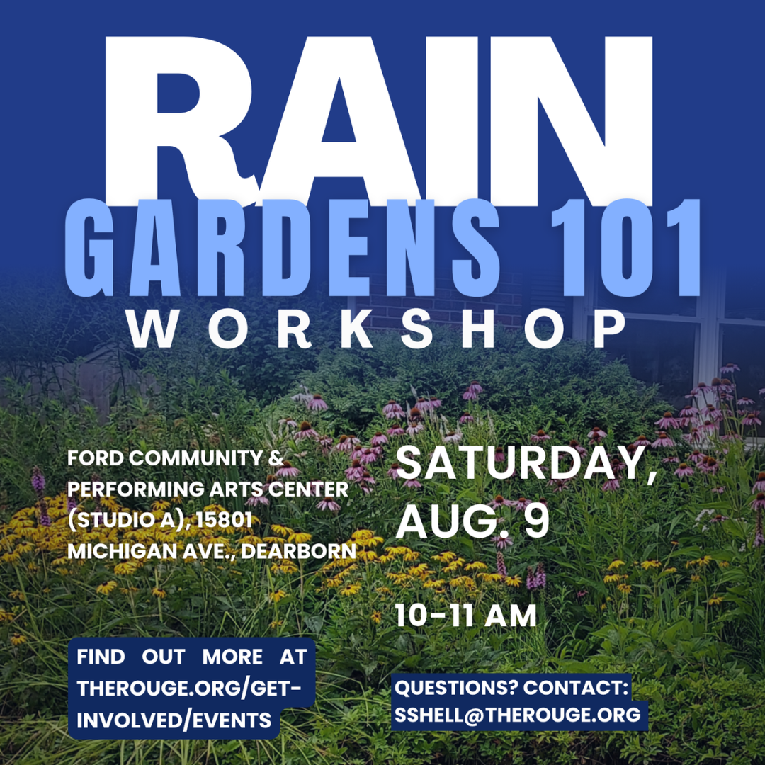 Rain Gardens 101 Feature
