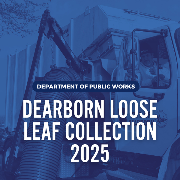 Loose Leaf Collection 2025
