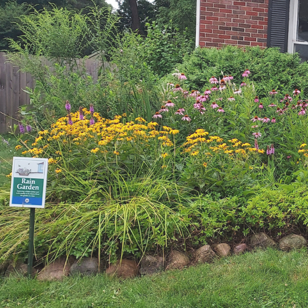 Rain Garden Photo 1