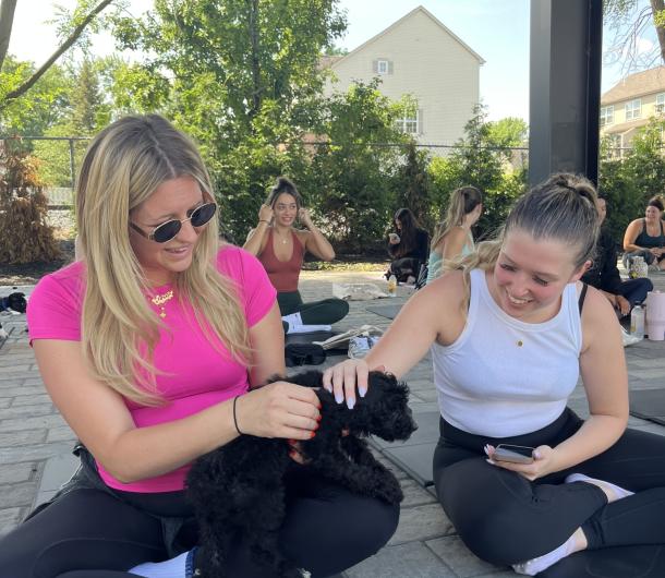 Dog Yoga